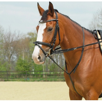 BUSSE Otěže a martingal Thiedemann Basic černé