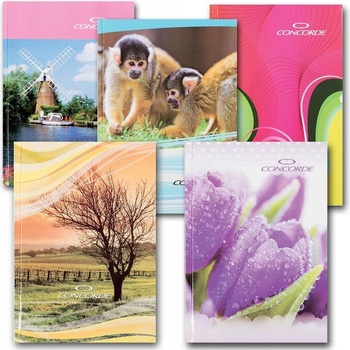 Concorde Záznamní kniha A4 linka 8mm 100 listů