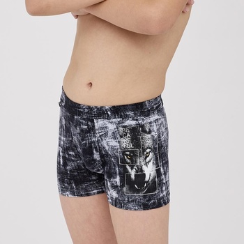 Cornette chlapecké boxerky 700/144 Wolf 2