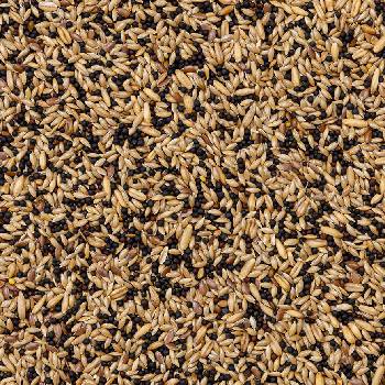 Deli Nature 50 Canaries Basic 20 kg