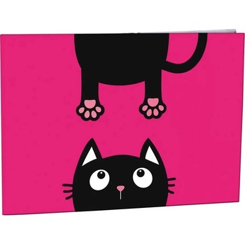 Desky na číslice Crazy Kitten