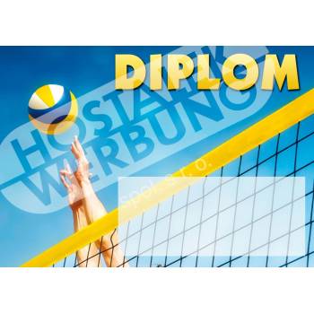Diplom volejbal