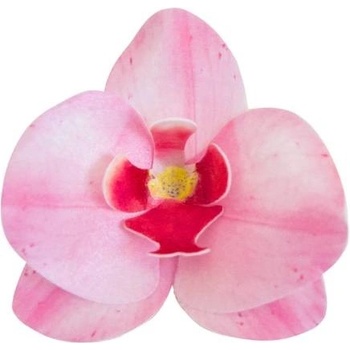 Dortisimo Dekorace z jedlého papíru Orchidej růžová (10 ks)