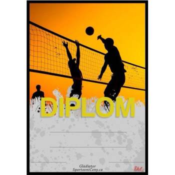 DV04f Diplom volejbal