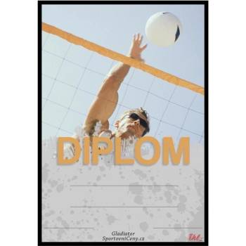 DV04g Diplom volejbal