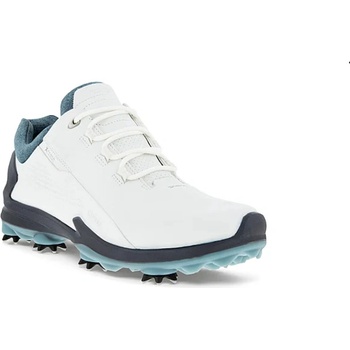 Ecco Biom G3 Dritton Goretex Mens white/blue