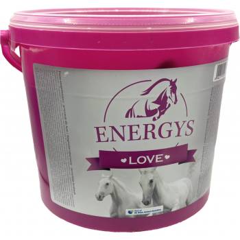 Energys Love Pamlsky jablečné srdíčka 2 kg