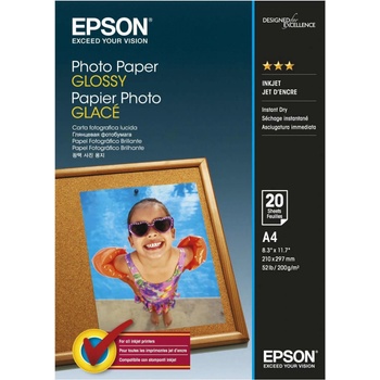 Epson C13S042538