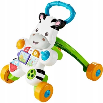 Fisher Price Zebra vícebarevná