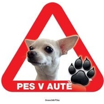 Grel nálepka na plech pozor pes v autě čivava bílá