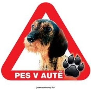 Grel nálepka na plech pozor pes v autě jezevčík drsnoststý