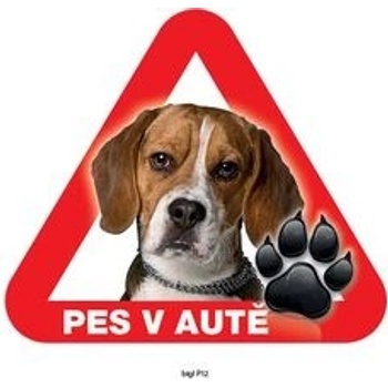 Grel nálepka na sklo pozor pes v autě bígl