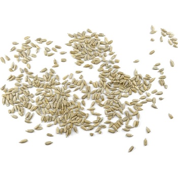 GRIZLY Slunečnicová semínka loupaná 1 kg