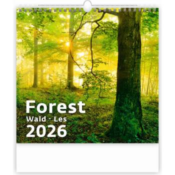 Helma nástěnný Forest/Wald/Les 30 × 30 cm 2026