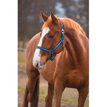 Hippo Covalliero Nylonová ohlávka modrá