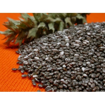 Hlavnězdravě Chia semínka 1 kg