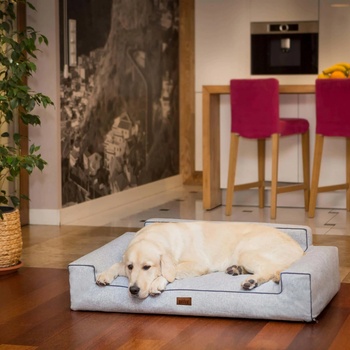 HobbyDog Pelech Glamour Inari