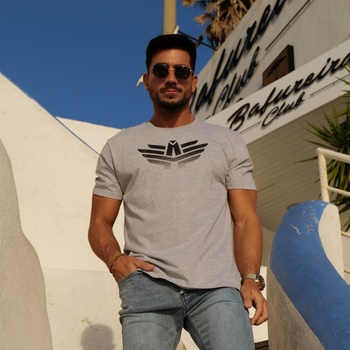 Iron Aesthetics pánské sportovní tričko Break šedé