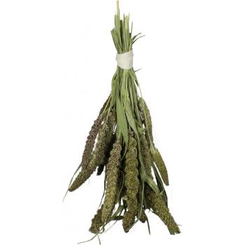 JR Farm Zelené senegalské proso 50 g