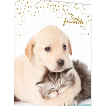 Karton P P desky na abecedu Mazlíčci