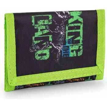 Karton P+P Premium Dinosaurus