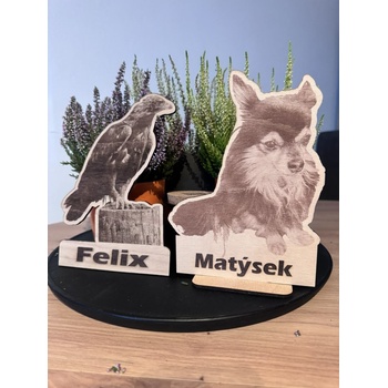 KAXL Lezecké úchyty kameny plastové 5ks