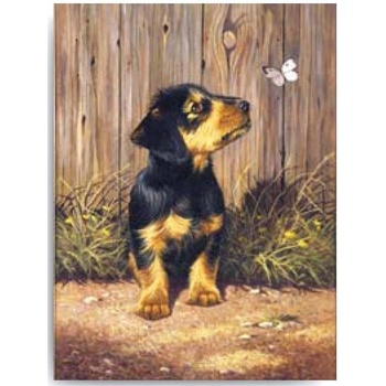 Malování podle čísel Pejsek s motýlkem