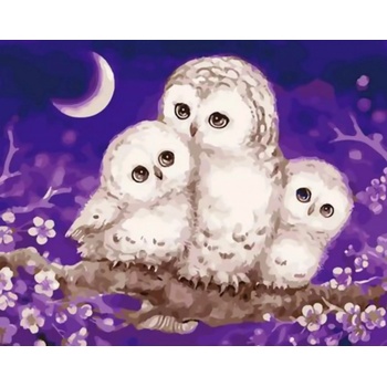 Malování podle čísel Soví rodina