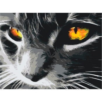 MALUJEŠ Malování podle čísel ČERNÁ KOČKA A JASNÝ POHLED Rozměr 40 x 50 cm Rámování vypnuté plátno na rám