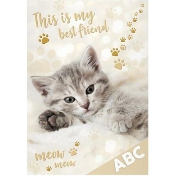 MFP Desky na abecedu Kočka