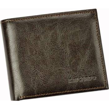 Pánská Z.Ricardo 051S hnědá