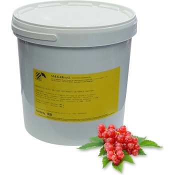 Passata Džem termostabilní červený rybíz hladký 13 kg