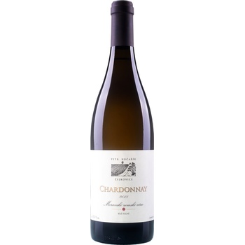 Petr Kočařík Chardonnay 2023 14,2% 0,75 l (holá láhev)
