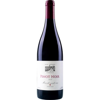 Petr Kočařík Pinot noir Novosady 2023 13,5% 0,75 l (holá láhev)