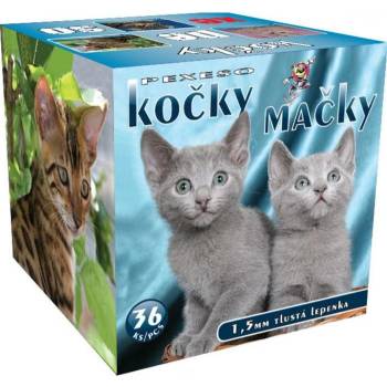 Pexeso v krabičce: Kočky