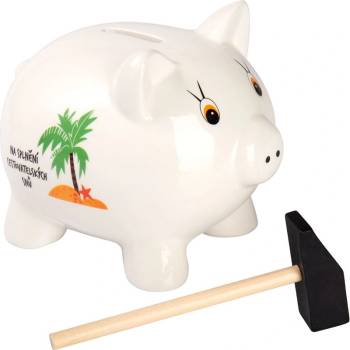 Pokladnička Cestovatelské sny Albi