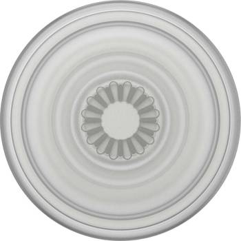 PopSockets PopGrip Plant Faded Stone 805500
