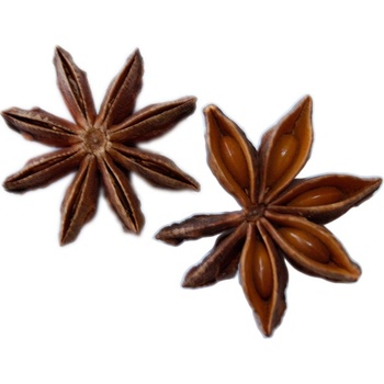 Profikoření Badyán celý 50 g