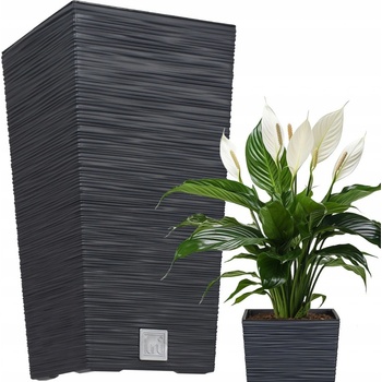 Prosperplast Květináč FURU SQUARE 29,5 cm antracit