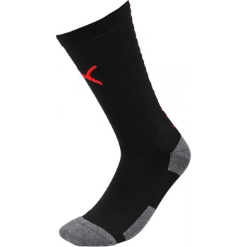 Puma Team ftblNXT Socks