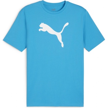 Puma teamRISE Logo Jersey cotton 658705-02