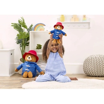 Rainbow Paddington Movie malý