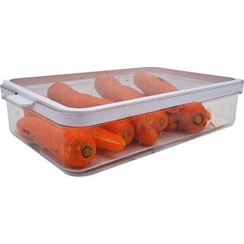 Rotho Organizér do lednice CAUMA s víkem a speciální podložkou 2,6 l