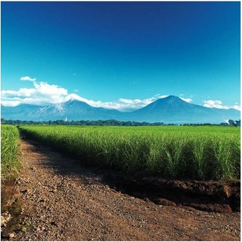 Rumová cesta za potomky věhlasných Mayů 13.11.2025 - 1 osoba, Podpalubí Warehouse #1 Praha, 1-2 hod