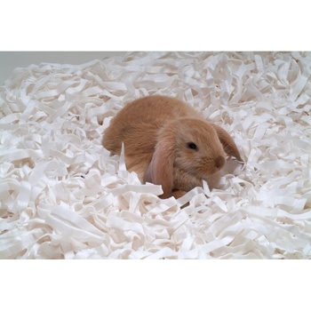 Safebed Podestýlka z papírové vlny 2 kg