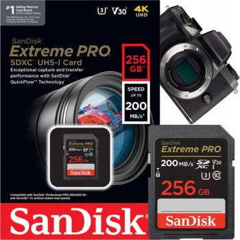 SanDisk SDXC UHS-I U3 256 GB SDSDXXD-256G-GN4IN