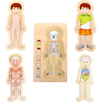 Small Foot Puzzle Anatomie Tim