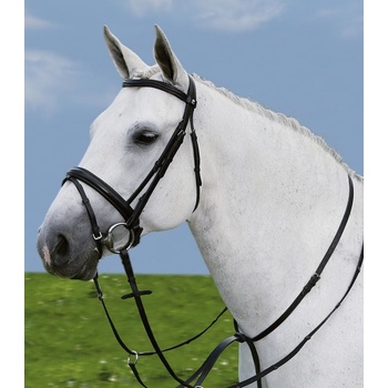 STAR Martingal Černá