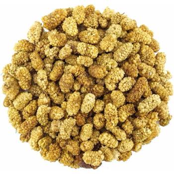 Svět plodů Moruše sušená 500 g