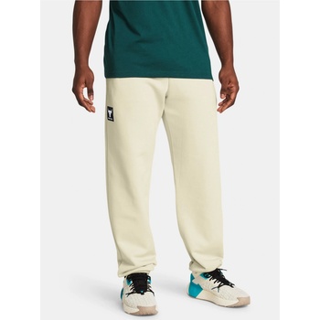 Under Armour Pjt Rock Hwt Terry Jgr-BRN 1380105-273